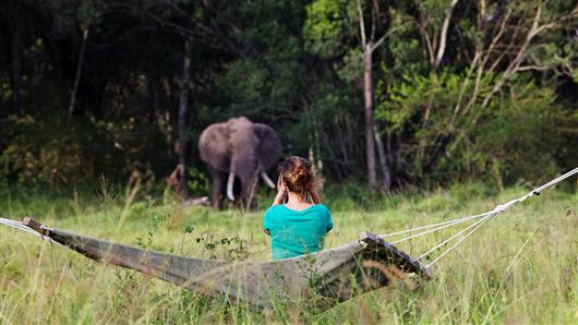 Elephant Pepper Camp